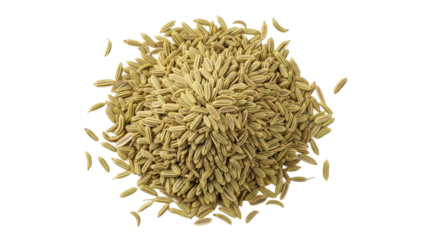 Cumin seed harvesting process agricultural field food photography natural lighting close-up view culinary uses. Isolated on transparent background, png.