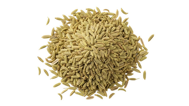 Cumin seed harvesting process agricultural field food photography natural lighting close-up view culinary uses. Isolated on transparent background, png.