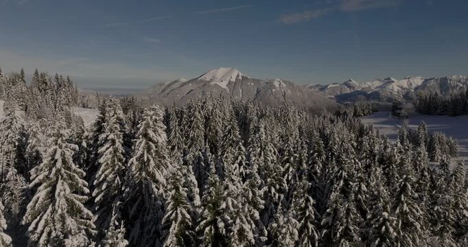 Drone foret enneig&eacute; vue sur le pic du m&ocirc;le