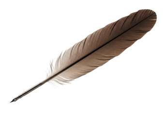 Brown bird feather isolated on transparent background on transparent background