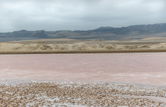 Pink Lagoon, Paracas Nature Reserve