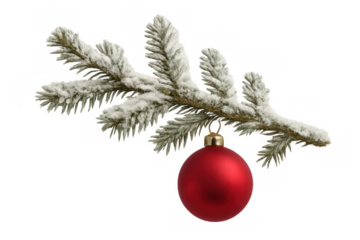 Snowy pine branch with red bauble christmas ornament, hanging decoration for festive holiday season on transparent background