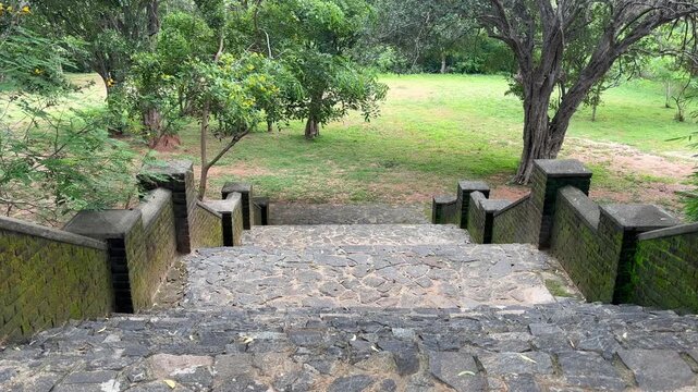 Stone steps in a garden