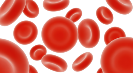 Creative representation of red blood cells on white background focusing on red, blood, cells ideal for