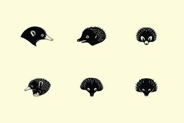 Vintage illustration of various animal heads in a scientific or natural history style