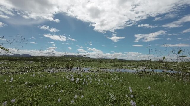 Wildlife Sanctuary: Birdwatching and River Safaris on the Tempisque River