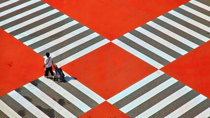 Person Walking with Shopping Cart on a Colorful Pedestrian Crossing