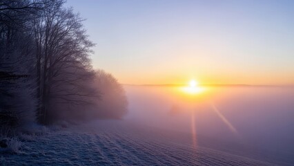 Frozen landscape at sunrise with frosty trees and fog isolated on transparent background