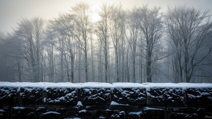 Snowy forest landscape with stone wall and bare trees isolated on transparent background