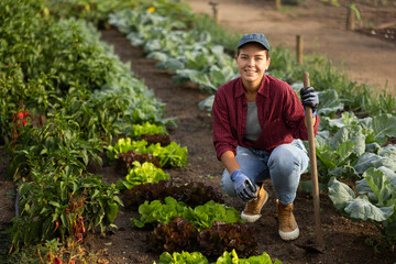 Fototapeta premium woman farmer with a hoe near lettuce and cabbage. Farmed organic vegetables growing in the garden