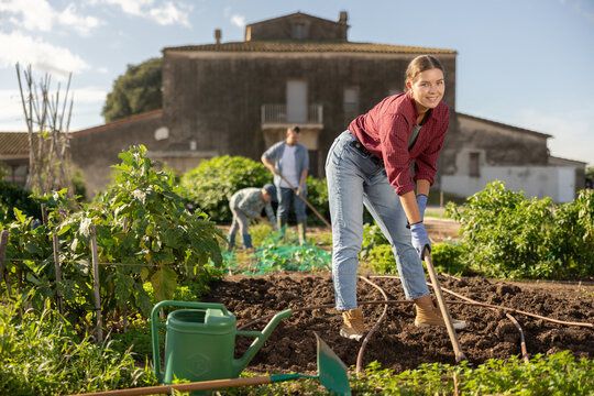 Farmer woman weeds the beds for planting seeds. A farmer prepares and fertilizes the land. Planting vegetables on the farm