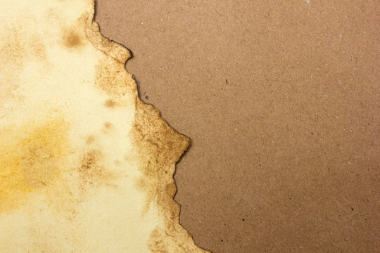 Full frame photo of a blank aged paper as a background, copy space and texture. This type of paper is commonly found in ancient parchment scrolls containing manuscripts.