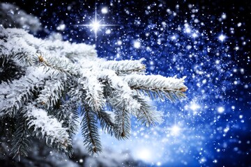 A snow covered tree branch with a star in the sky. Holiday background Concept.