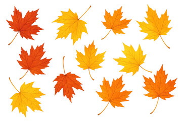 Autumn maple leaves falling, creating a pattern of seasonal foliage with vibrant orange and yellow colors on a transparent background