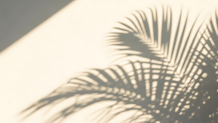 Palm Shadow Art Display in a Tranquil Interior Environment