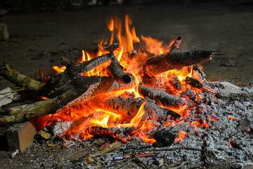 Bonfire with burning logs and ashes in detail.