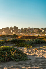 Vertical view of coastal dunes with green vegetation and a seaside village in warm golden light. © Francesco