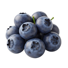 Blueberries Cluster Illustration .