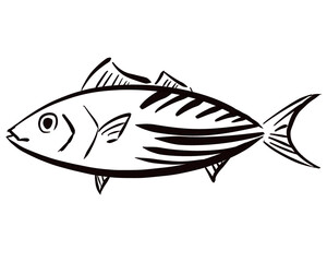 Simple Hand-Drawn Bonito Illustration