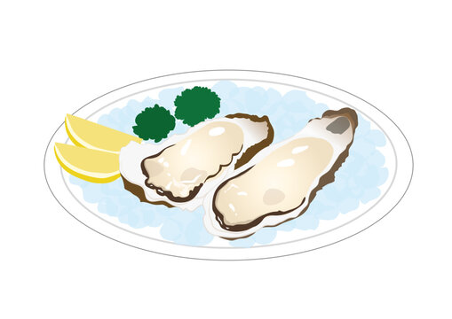 生牡蠣 カキ レモン イラスト ベクター