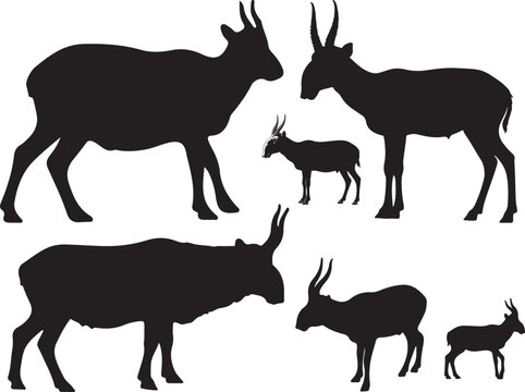 Saiga Antelope Silhouettes