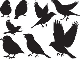 Fototapeta premium Tanager Silhouettes