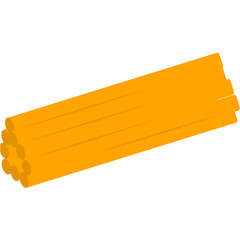 Centriole animal cell