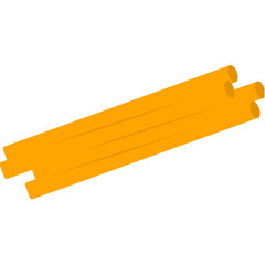 Centriole animal cell