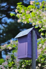 bird house in the woods