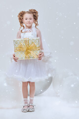 Snowy Angel Gift