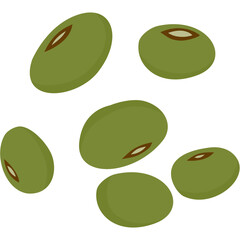 Mung Bean