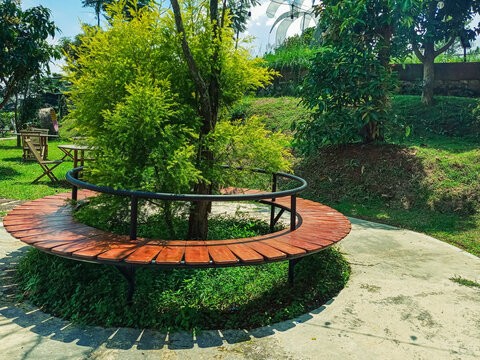 Circular wooden bench around tree in a sunny garden path