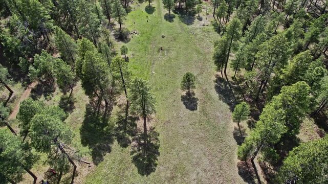 flying over the landscape in Flagstaff arizona 