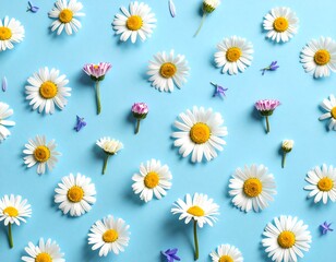 Flat lay of scattered daisies and small purple blossoms on a light blue background