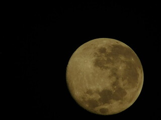 Detailed close-up view of a yellow waxing crescent moon with visible craters against a dark black sky