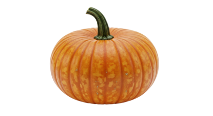 Single orange pumpkin with green stem on black background gourd, Isolated On Png Transparent Background