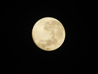 Detailed close-up view of a yellow waxing crescent moon with visible craters against a dark black sky