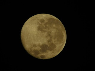 Detailed close-up view of a yellow waxing crescent moon with visible craters against a dark black sky