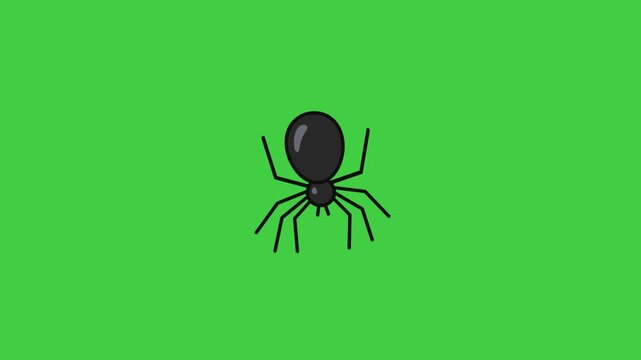 Black spider animation with smooth movement, fitting for Halloween visuals, creepy themes, or horror content.
