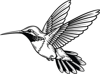 Black and White Outline Drawing of a Flying Hummingbird in Action with Rapidly Beating Wings, Hand-Drawn Vector Illustration for Nature, Wildlife, and Bird Concepts