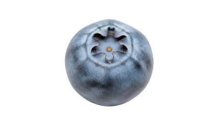 Single ripe blueberry with star shaped calyx against black background fruit purple, Isolated On Png Transparent Background
