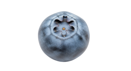 Single ripe blueberry with star shaped calyx against black background fruit purple, Isolated On Png Transparent Background