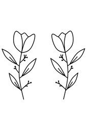 Minimal floral line art illustration