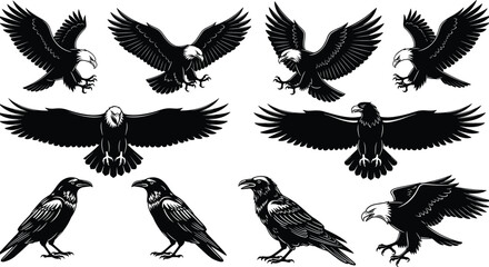 Black Silhouette Set of Four Female Photographers with Ponytails and Backpacks, Holding Cameras to Their Eyes, Isolated Vector Illustration Collection for Travel, Hobby, and Media Concepts © Parvej Creatives