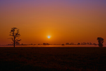 Golden Sunrise Over a Peaceful Field