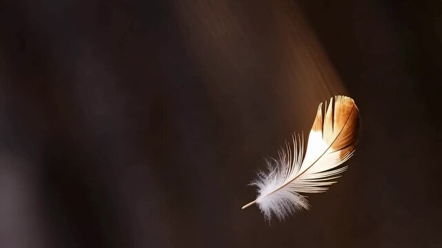 Floating of feather gracefully with gentle movement in air and soft light creates peaceful and calming scene showcasing weightlessness