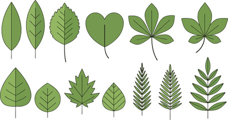 Fototapeta premium Green leaves set isolated on a white background in a simple nature-inspired design