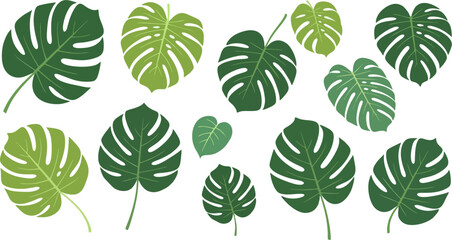 Fototapeta premium Vector set of green leaves arranged in a simple nature-inspired design