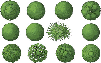 Top View Vector Set of Trees, Shrubs, and Bush Planter Elements for Landscape Architecture: Greenery Collection for Site Plan Drafting. © Selina