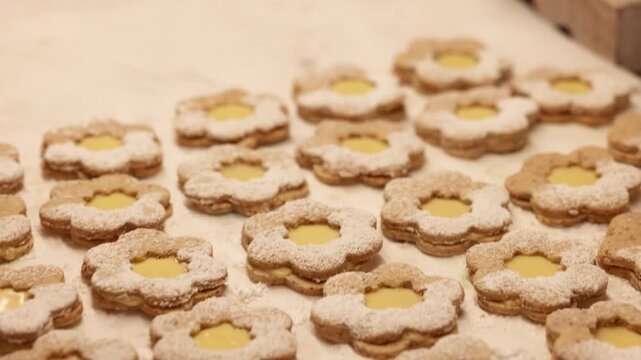 Closeup of aligned eggnog filled Christmas cookies in warm festive holiday baking scene